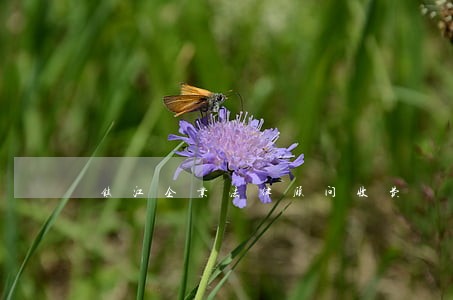 镇江企业法律顾问收费 镇江企业法律顾问收费