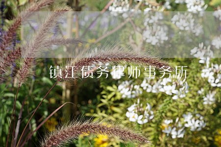 镇江债务律师事务所 镇江债务律师事务所