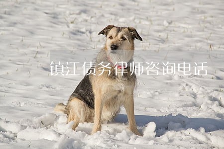 镇江债务律师咨询电话 镇江债务律师咨询电话