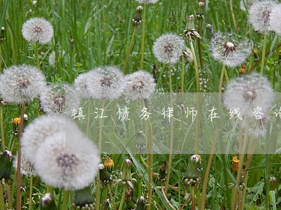 镇江债务律师在线咨询 镇江债务律师在线咨询