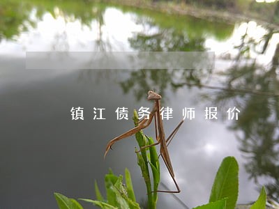 镇江债务律师报价 镇江债务律师报价