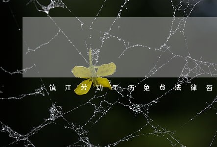 镇江劳动工伤免费法律咨询热线 镇江劳动工伤免费法律咨询热线