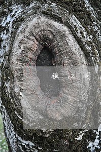 镇江司法五年制大专