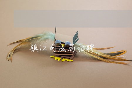 镇江司法局招聘 镇江司法局招聘