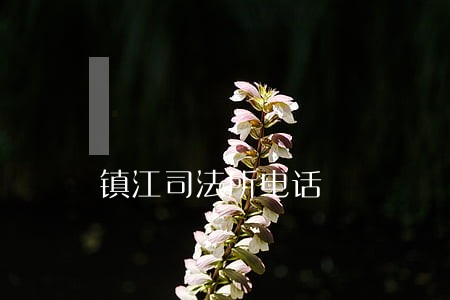 镇江司法所电话 镇江司法所电话