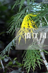 镇江司法警官学校每年入警率