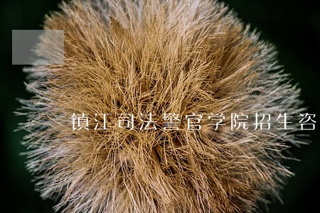 镇江司法警官学院招生咨询电话 镇江司法警官学院招生咨询电话