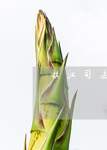 镇江司法警官学院校长张晶 镇江司法警官学院校长张晶