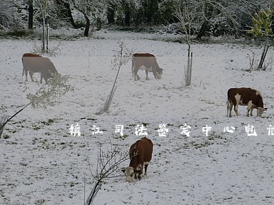 镇江司法鉴定中心电话 镇江司法鉴定中心电话