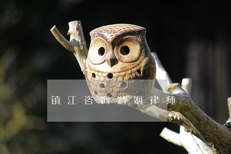 镇江咨询婚姻律师 镇江咨询婚姻律师