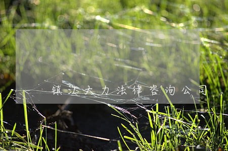 镇江大力法律咨询公司 镇江大力法律咨询公司