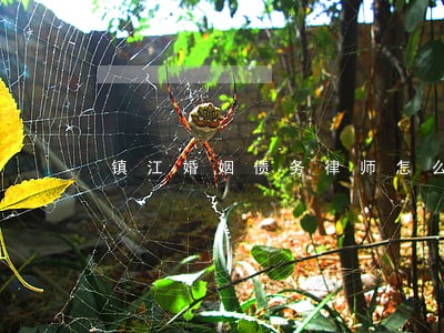 镇江婚姻债务律师怎么收费 镇江婚姻债务律师怎么收费