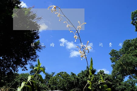 镇江婚姻法律顾问费用 镇江婚姻法律顾问费用