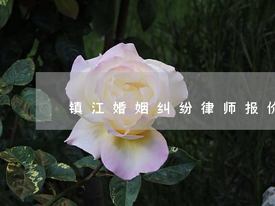 镇江婚姻纠纷律师报价 镇江婚姻纠纷律师报价
