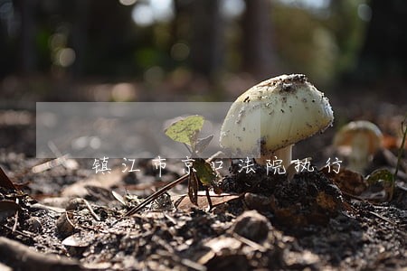 镇江市京口法院执行 镇江市京口法院执行