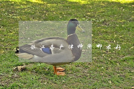 镇江房产律师所哪家好 镇江房产律师所哪家好