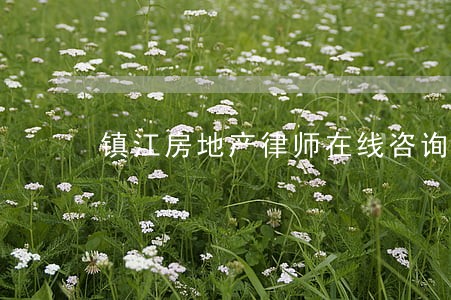 镇江房地产律师在线咨询 镇江房地产律师在线咨询