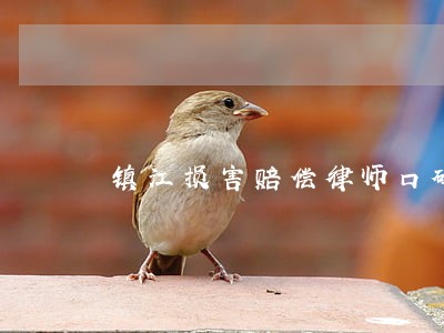 镇江损害赔偿律师口碑推荐 镇江损害赔偿律师口碑推荐