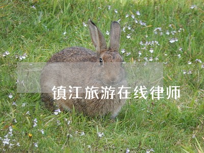 镇江旅游在线律师 镇江旅游在线律师
