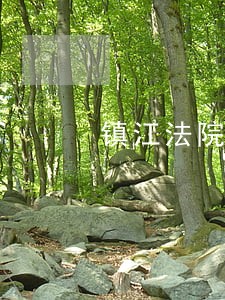 镇江法院刘贤忠 镇江法院刘贤忠