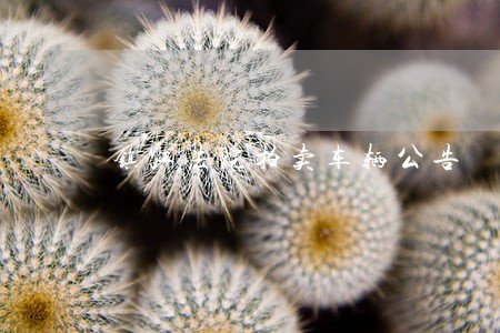 镇江法院拍卖车辆公告