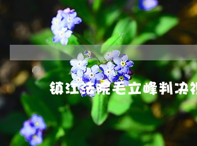 镇江法院毛立峰判决视频