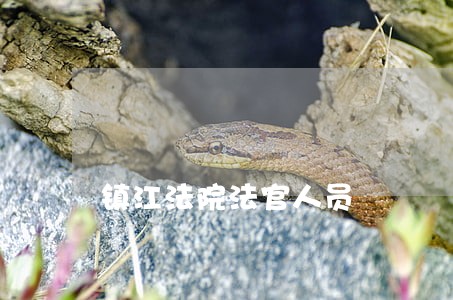 镇江法院法官人员 镇江法院法官人员