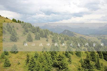 镇江法院裁判文书网查询