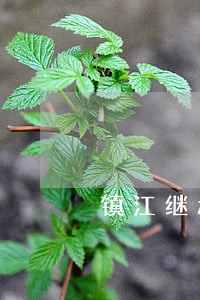 镇江继承房产律师费用 镇江继承房产律师费用