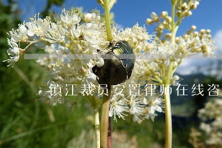 镇江裁员安置律师在线咨询