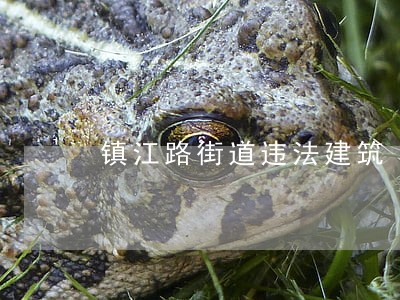 镇江路街道违法建筑 镇江路街道违法建筑