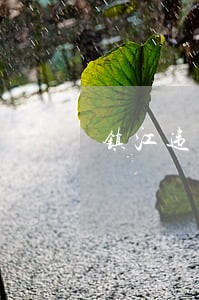 镇江违法建设 镇江违法建设