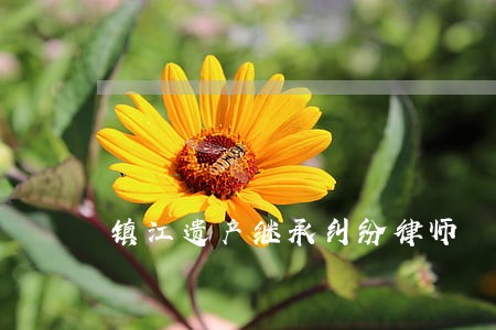 镇江遗产继承纠纷律师 镇江遗产继承纠纷律师