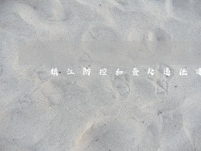 镇江防控和查处违法建设领导小组 镇江防控和查处违法建设领导小组