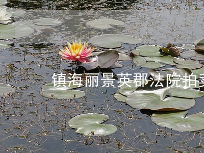 镇海丽景英郡法院拍卖 镇海丽景英郡法院拍卖