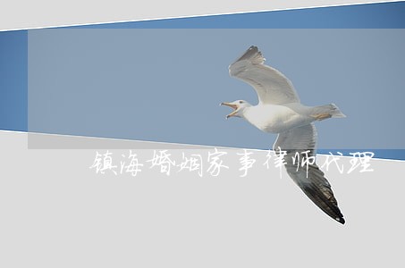镇海婚姻家事律师代理 镇海婚姻家事律师代理