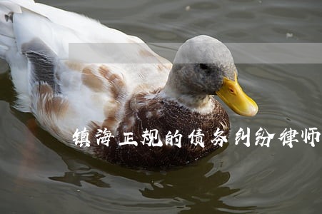 镇海正规的债务纠纷律师事务所