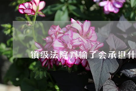 镇级法院判输了会承担什么责任 镇级法院判输了会承担什么责任