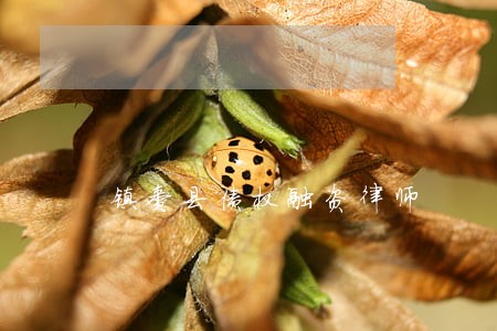 镇赉县债权融资律师 镇赉县债权融资律师