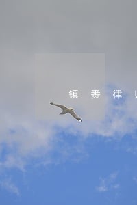 镇赉律师事务所排名 镇赉律师事务所排名