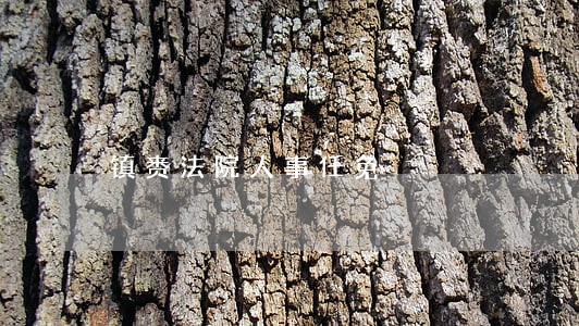 镇赉法院人事任免