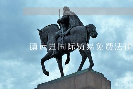 镇远县国际贸易免费法律咨询热线 镇远县国际贸易免费法律咨询热线