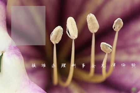 镇雄办理刑事会见律师预约电话 镇雄办理刑事会见律师预约电话