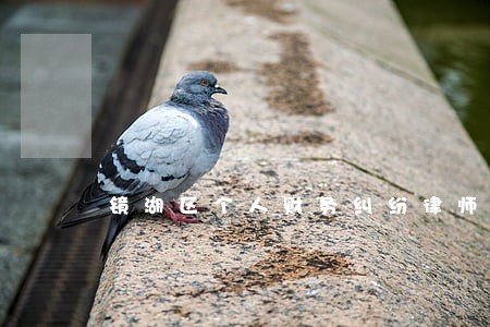 镜湖区个人财务纠纷律师电话 镜湖区个人财务纠纷律师电话