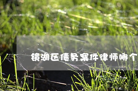 镜湖区债务案件律师哪个好 镜湖区债务案件律师哪个好