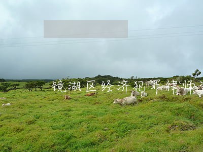 镜湖区经济犯罪律师咨询电话 镜湖区经济犯罪律师咨询电话