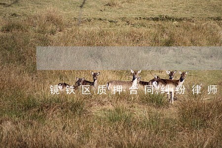镜铁区质押合同纠纷律师 镜铁区质押合同纠纷律师