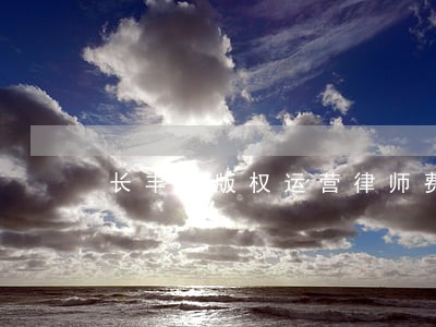 长丰县版权运营律师费用 长丰县版权运营律师费用