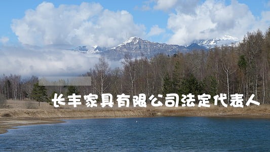 长丰家具有限公司法定代表人