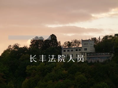 长丰法院人员 长丰法院人员